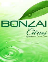 Bonzai Citrus 3g